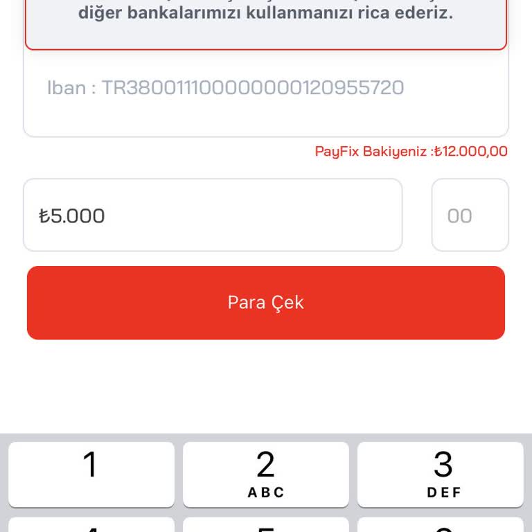 PayFix QNB Finansbank İle Para Çekimi Yapamıyorum