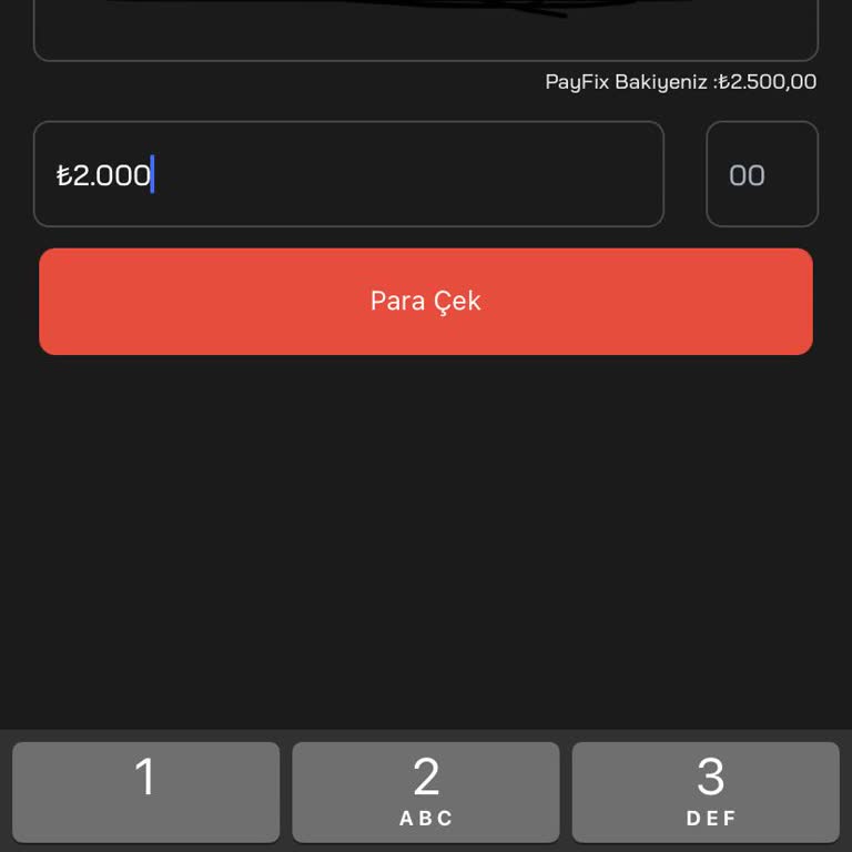 PayFix Hiçbir Hesaba Para Çekememe