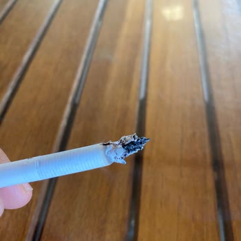Philip Morris Sigara Dan Siyah Kömür Çıktı