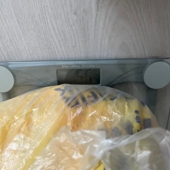 Carrefour SA Marketten Alınan Kurban Hissesi