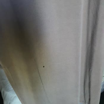 Mervellion Yırtık Elbise Gönderdi Ve İlgilenmiyor.