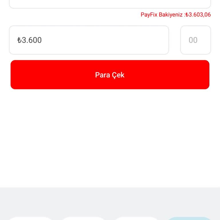 Payfix Hesabımdan Hiçbir Şekilde Çekim İşlemi Gerçekleştiremiyorum