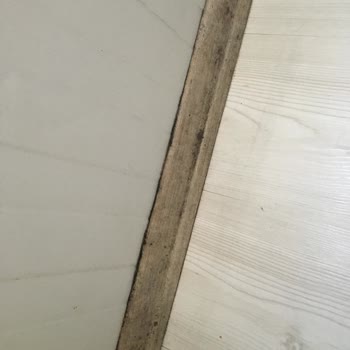 Adm Prefabrik Konteyner Şikayetçiyim