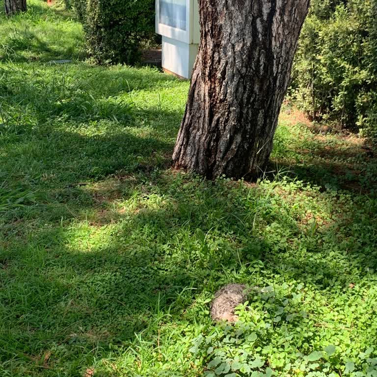 Antalya Büyükşehir Belediyesi Havalimanı Denetlenmiyor!