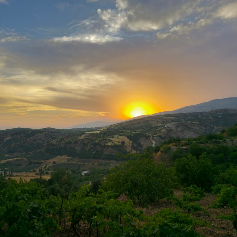 Samsung Telefon Galaxy S24 Ultra Kamera Ve Görsel Zeka