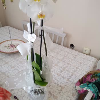 Çiçek Sepeti Nin Kusurlu Ürünü