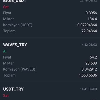 Binance'de Waves Coin Delist Edildi: Param Ve Coinim Kayboldu!
