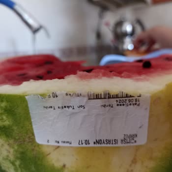 Gimsa Bozuk Karpuz Satıyor