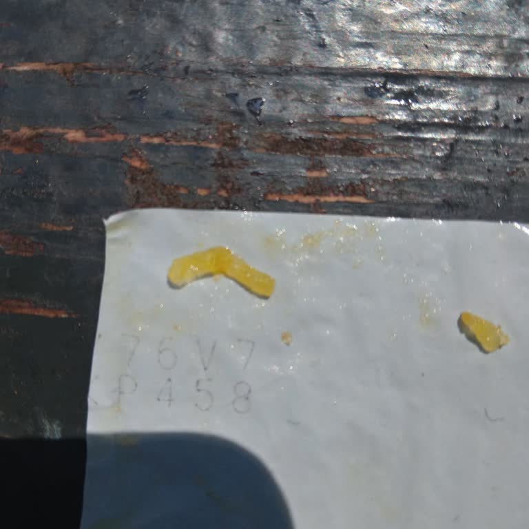 KazandıRio Cips Kazandirio Şifreyi Eksik Verdi.