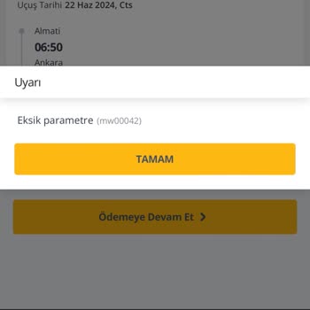 Pegasus İade Bilet Parametre Hatası