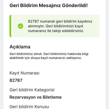 Ajet Ekstra Hizmetler Rezil