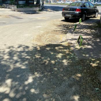 Çankaya Belediyesi Temizlik Yapmıyor Sokaklar Çok Kötü