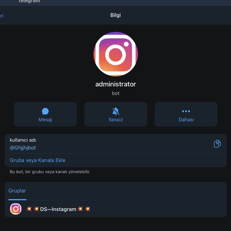 Telegram Üzerinden Para Kazanma