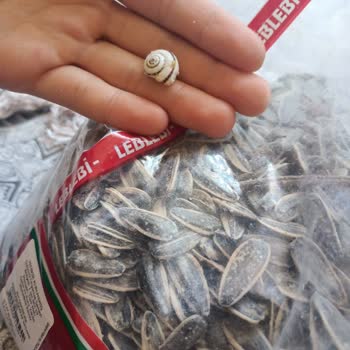 Yedikır Kuruyemiş Hijyen Sorunu: Kuruyemiş Paketinden Çıkan Şok Edici Salyangoz