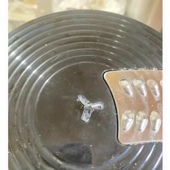 Arzum Blender Uğraşı Aylar Oldu