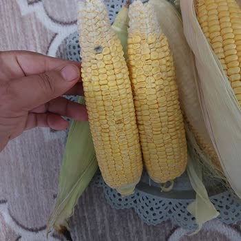Ayıplı Ürün Satışı Migros