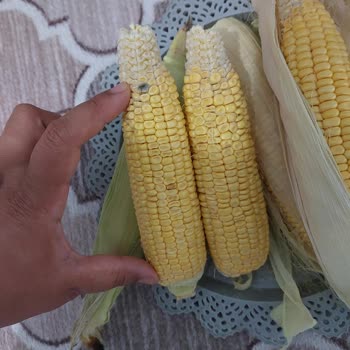 Ayıplı Ürün Satışı Migros