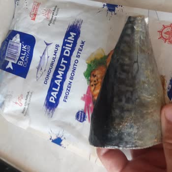 Balık Dünyası Palamut Diye Başka Balık Satıyor