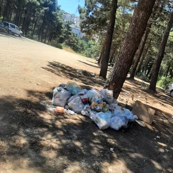 Aydos Orman Park Piknik Alanı Ücret Ve Temizlik Şikayeti