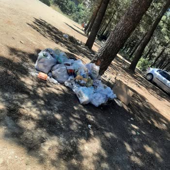 Aydos Orman Park Piknik Alanı Ücret Ve Temizlik Şikayeti