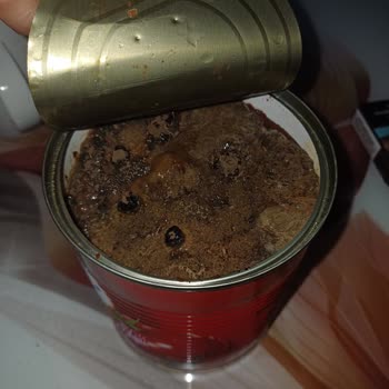 Burcu Gıda Sağlıksız Ürün Ve Kötü Koku Şikayeti