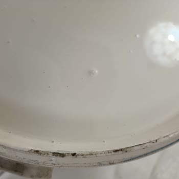 Bianca Salut Duvar Boyası Uzak Gidin