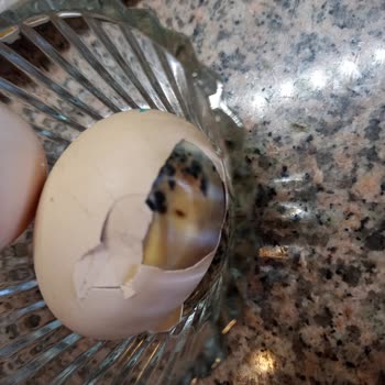 Biçen Markette Çürük Gezen Tavuk Yumurtası