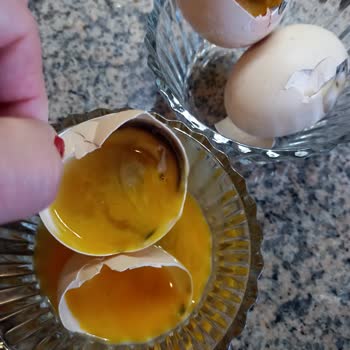 Biçen Markette Çürük Gezen Tavuk Yumurtası