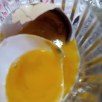 Biçen Markette Çürük Gezen Tavuk Yumurtası