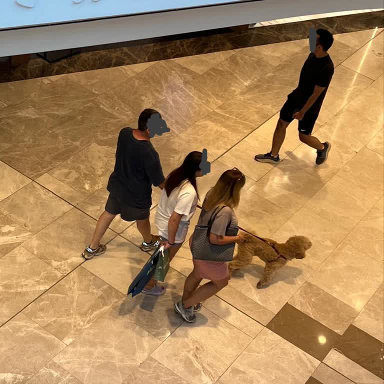 Vadi İstanbul AVM Vadi İstanbul Hayvanat Bahçesi