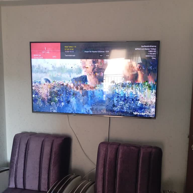 Vestel Televizyon Sinyal Hatası Veriyor, Çözüm Bekliyoruz!