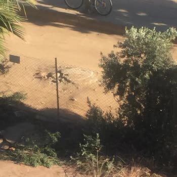 Armutlu Belediyesi Rögar Kapak Yüksek