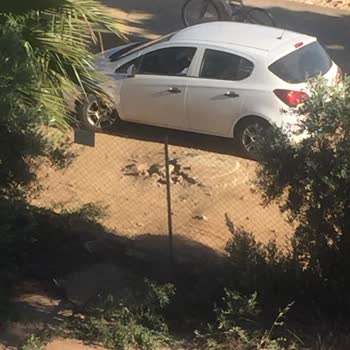 Armutlu Belediyesi Rögar Kapak Yüksek