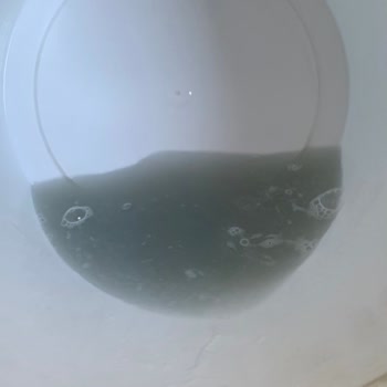 Fresh Scarfs Merter Mağazası Şal Renk Sorunu