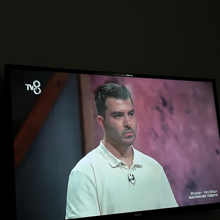 Vestel Ekran Çizgi Çıktı