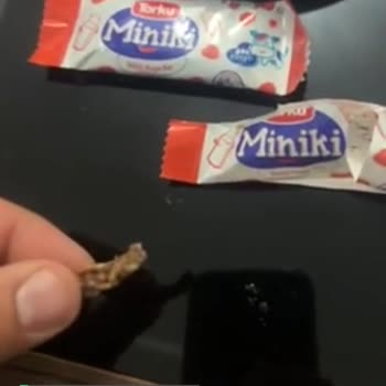 Torku Miniki Çikolatadan Et Parçası Çıktı