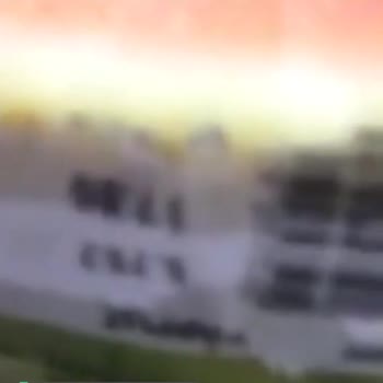 Gimsa'dan Meyve Alma Pişmanlığı!