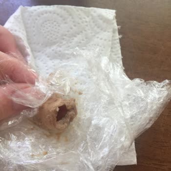 Farmina - VetLife Farmina Vet Life Konserve Mamadan Çıkan Yabancı Madde Şoku!