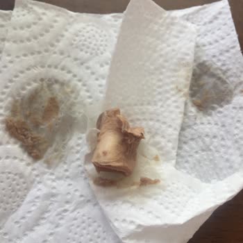 Farmina - VetLife Farmina Vet Life Konserve Mamadan Çıkan Yabancı Madde Şoku!