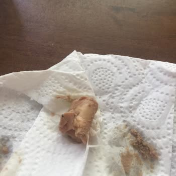 Farmina - VetLife Farmina Vet Life Konserve Mamadan Çıkan Yabancı Madde Şoku!