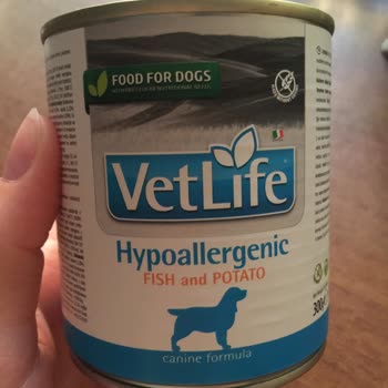 Farmina - VetLife Farmina Vet Life Konserve Mamadan Çıkan Yabancı Madde Şoku!