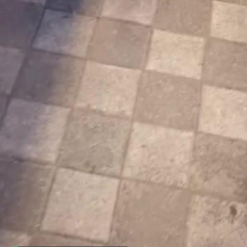 Şok Marketler Dükkanı Erken Kapatıyor, Müşteriyi İçeri Almıyor!