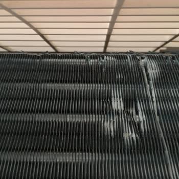 Daikin Servis Klima Peteklerine Zarar Verdi