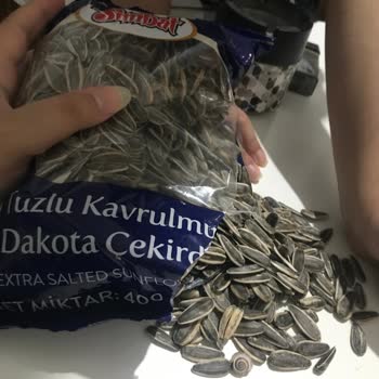 Simbat Çekirdek Salyangoz Çıktı