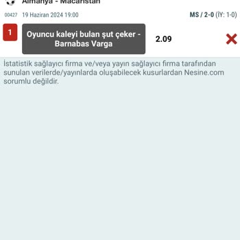 Nesine Tutan Kuponu Kayıp Saydılar