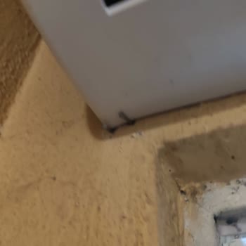 Windsor Servisleri Ve Çözüm Merkezi Kötü