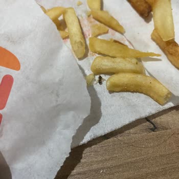 Migros Yemekten Söylediğim Burger King Ürünümden Sinek Çıktı