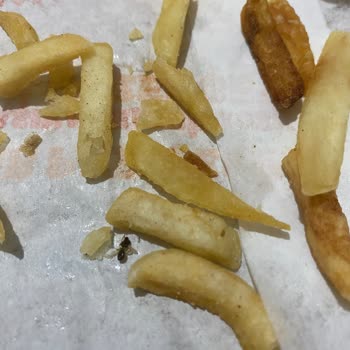 Migros Yemekten Söylediğim Burger King Ürününde Sinek Çıkması