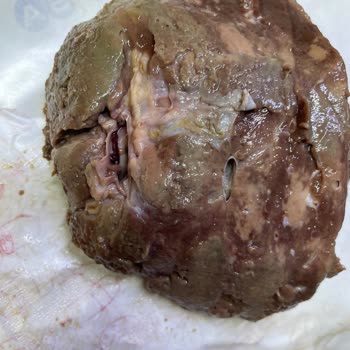 Carrefour SA Kurban Bayramında Alınan Ciğer Bozuk Çıktı