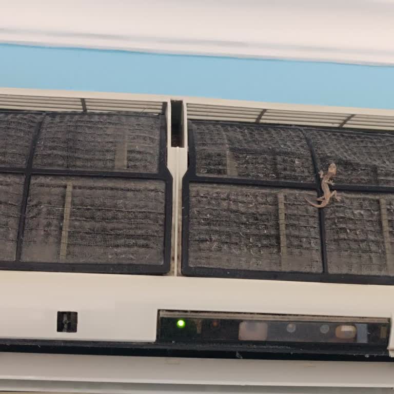 Pigale Beach Resort Pigale Beach Hotel